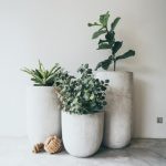 Зеленый уют без забот: магия искусственных растений